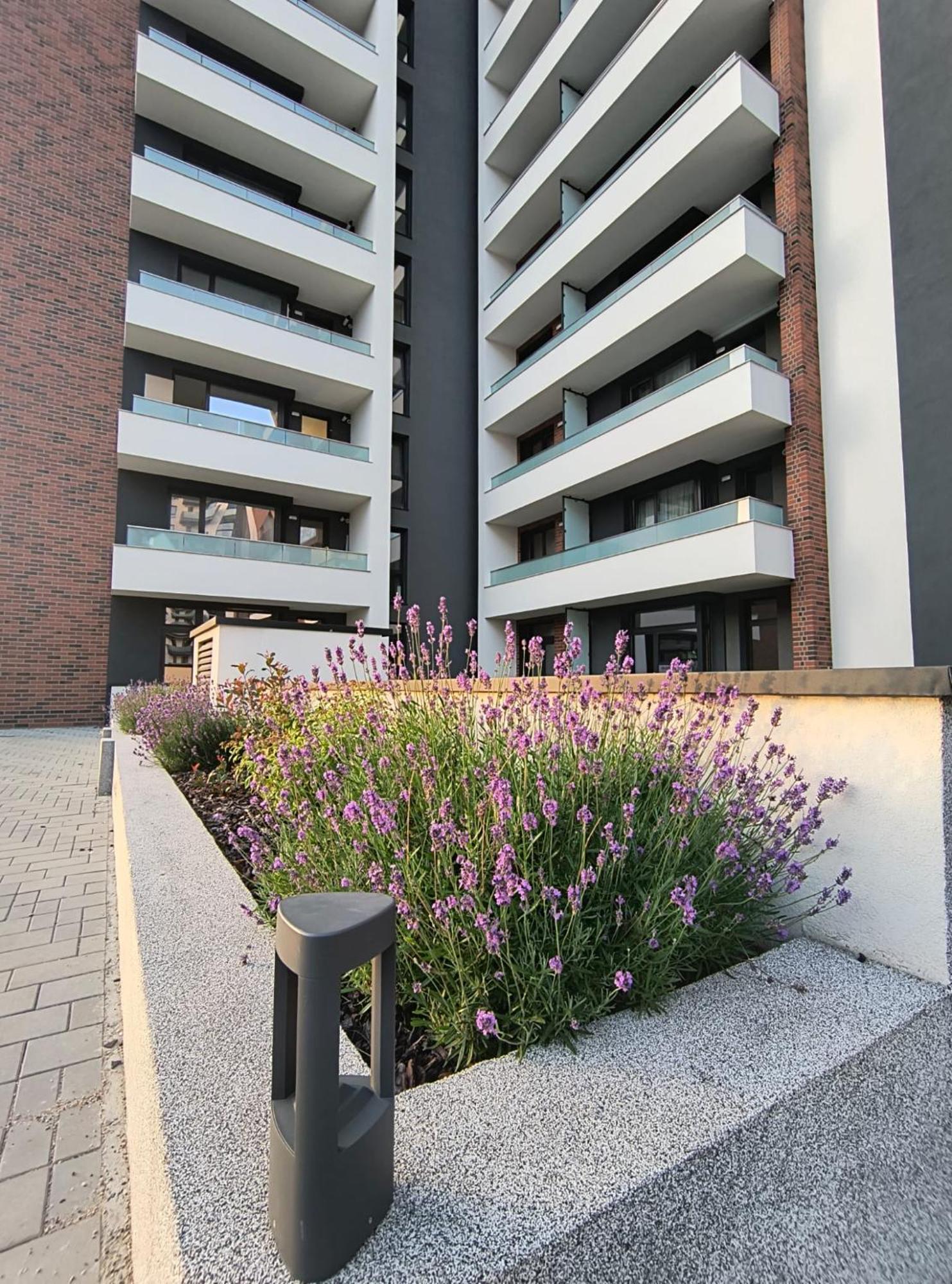 Apartment Park Lake كلوج-نابوكا المظهر الخارجي الصورة